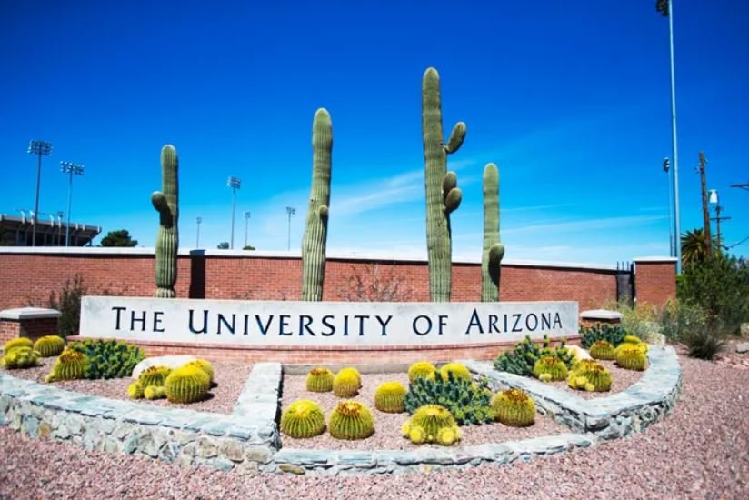 The University of Arizona