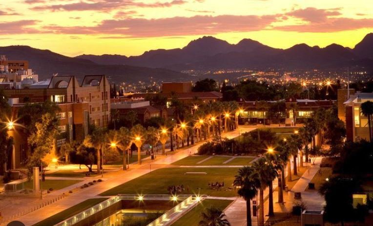 The University of Arizona