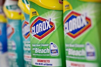 clorox bleach