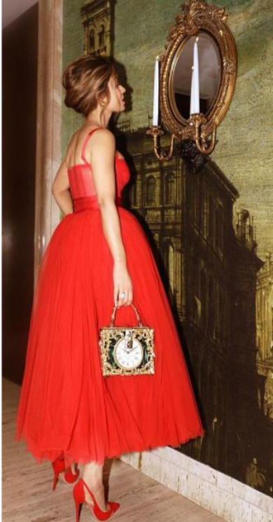 Natasha Poonawalla, Adar Poonawalla, Natasha Poonawalla's Luxury