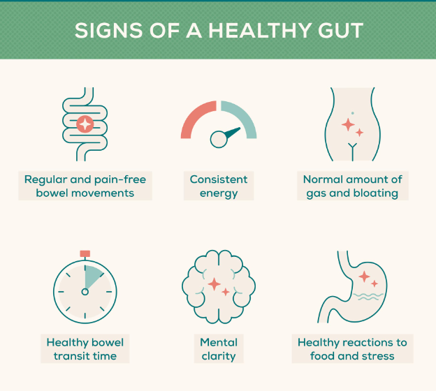 Gastrointestinal Health