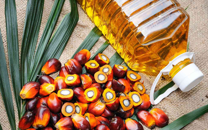 Palm Oil