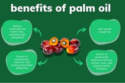 Palm oil