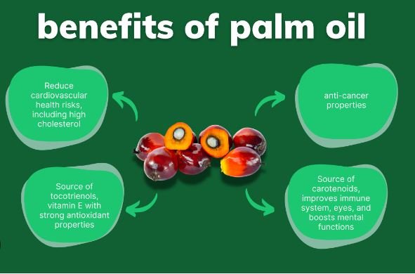 Does Palm Oil Have Health Benefits?