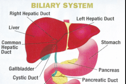 bile reflux