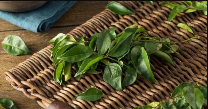 Benefits of Curry Leaves, Curry Leaves