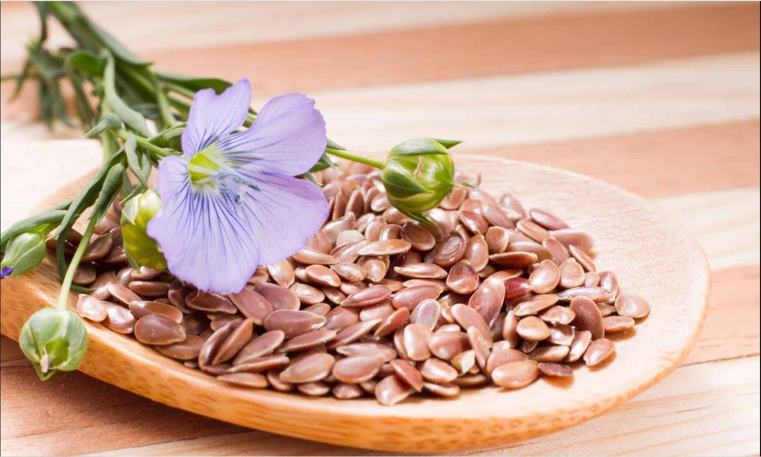 7 Incredible Benefits Of Flex Seeds: A Nutritional Power House - Latest ...