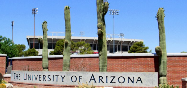 scholarships, study abroad scholarship, study abroad, university of arizona, university of arizona scholarship, arizona university, university of arizona student scholarship, global wildcat scholarship, university of arizona global wildcat award