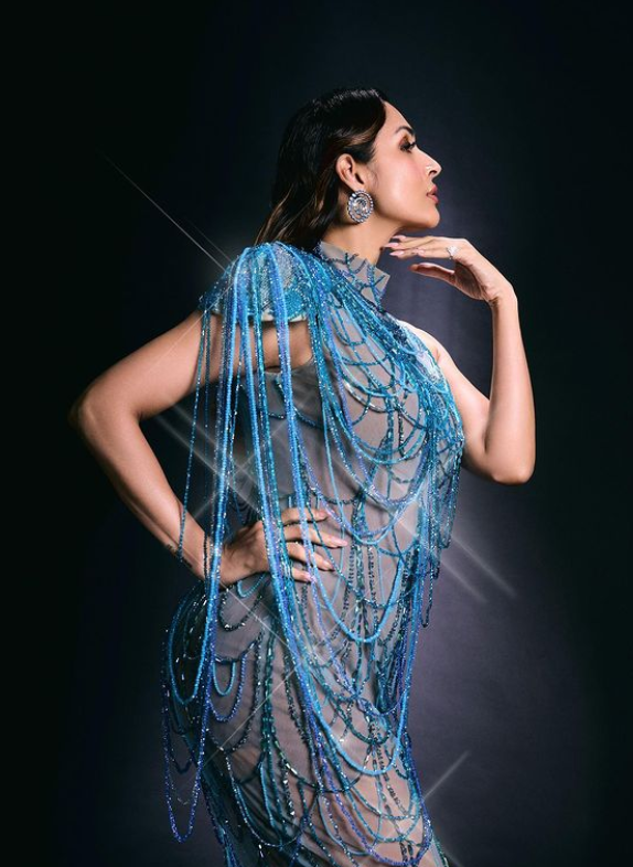 Malaika Arora, Bejeweled Gown, Malaika Arora's Fashion