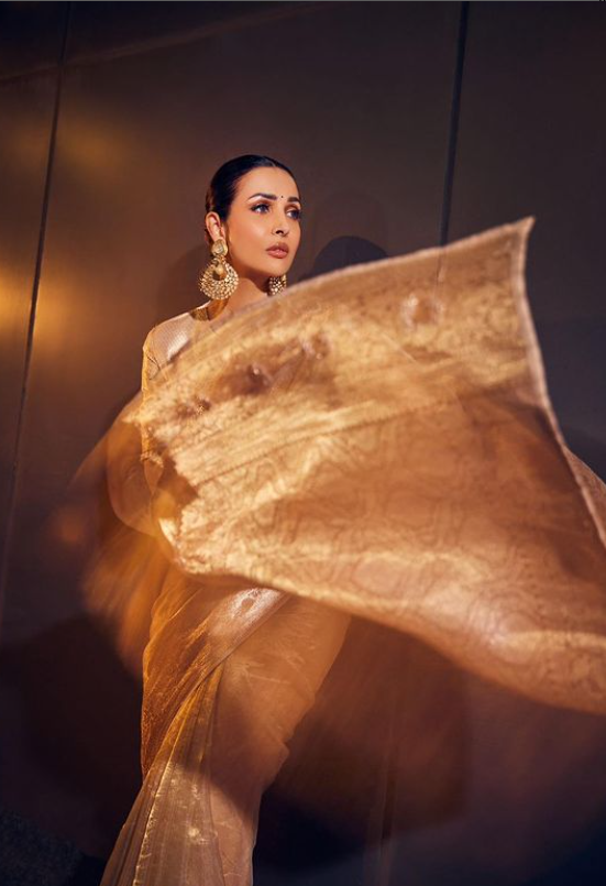 Malaika Arora, Bejeweled Gown, Malaika Arora's Fashion, Manish Malhotra, Manish Malhotra's saree