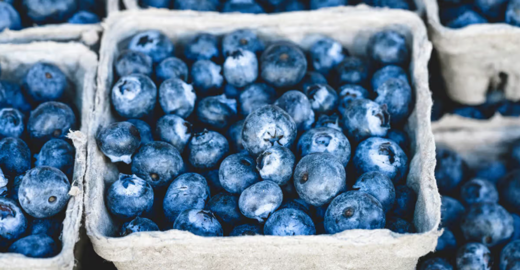 Benefits Of Eating Blueberries Every Day, Blueberries, Heathy Fruit