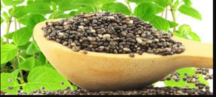 The Power Of Chia Seeds, Benefits of Chia seeds