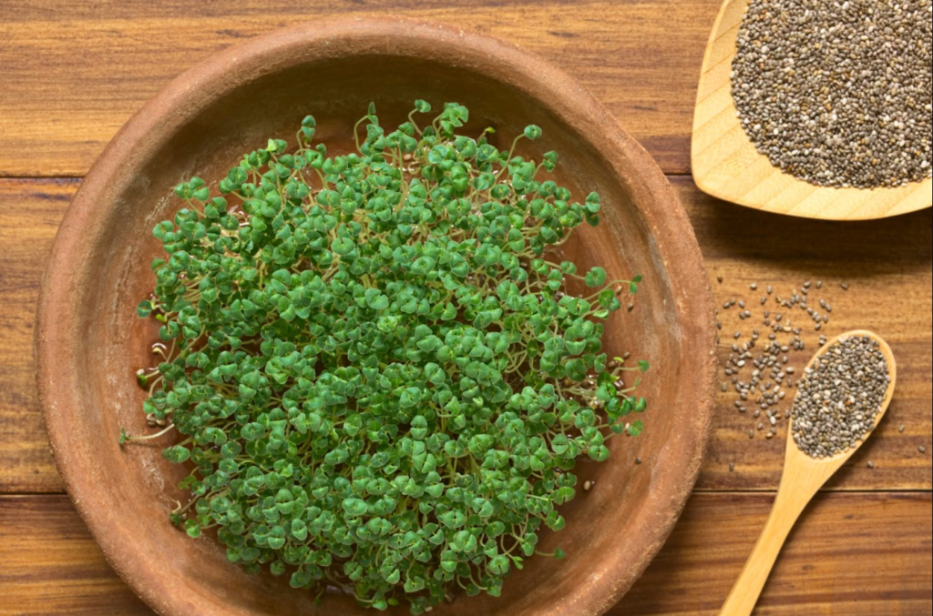 The Power Of Chia Seeds, Benefits of Chia seeds