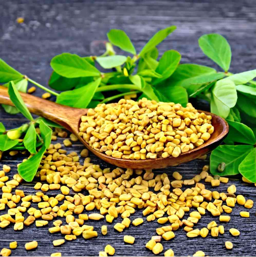 Fenugreek Seeds, methi Seeds