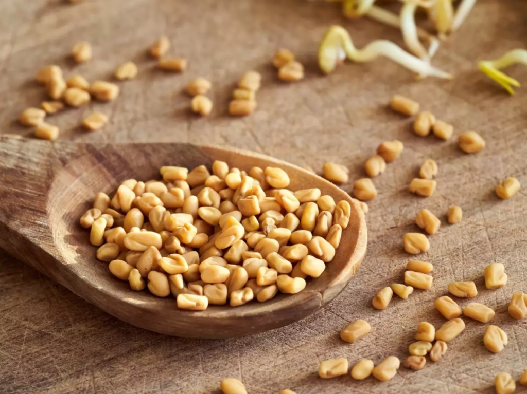 Fenugreek Seeds, methi Seeds