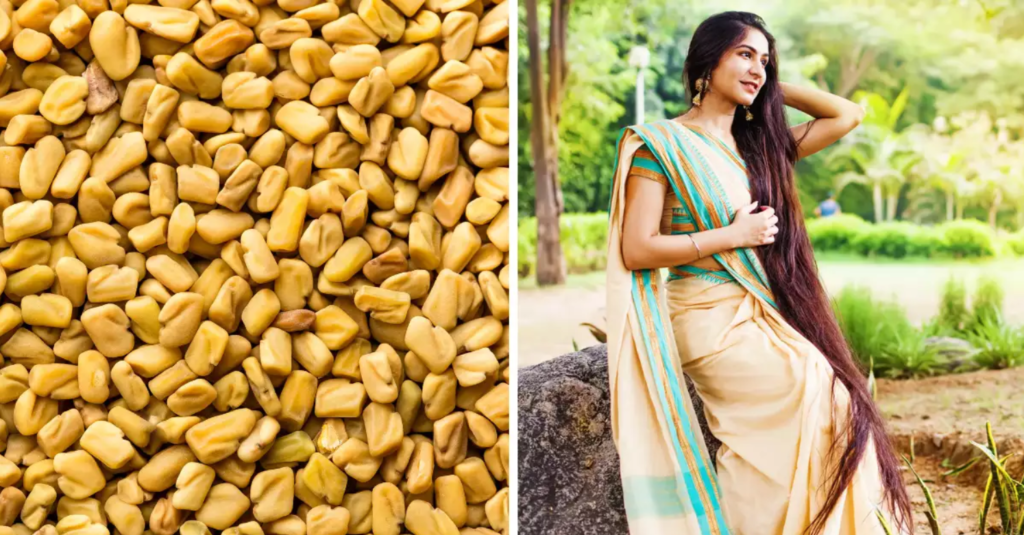 Fenugreek Seeds, methi Seeds