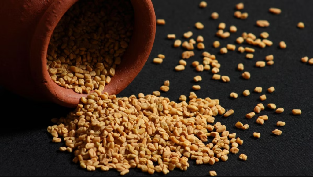 Fenugreek Seeds, methi Seeds