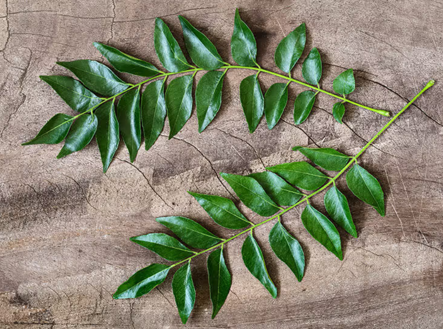 Benefits of Curry Leaves, Curry Leaves