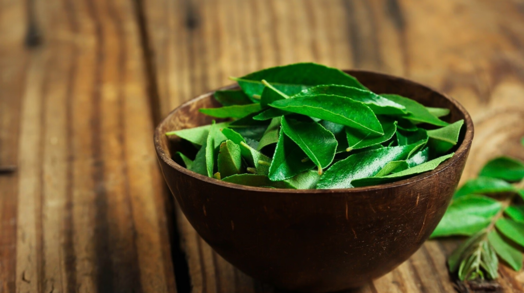 Benefits of Curry Leaves, Curry Leaves