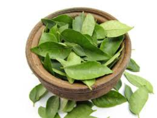 Benefits of Curry Leaves, Curry Leaves