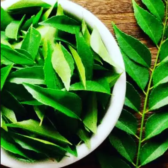 Benefits of Curry Leaves, Curry Leaves