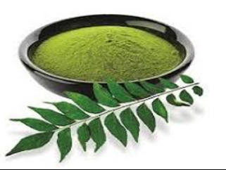 Benefits of Curry Leaves, Curry Leaves