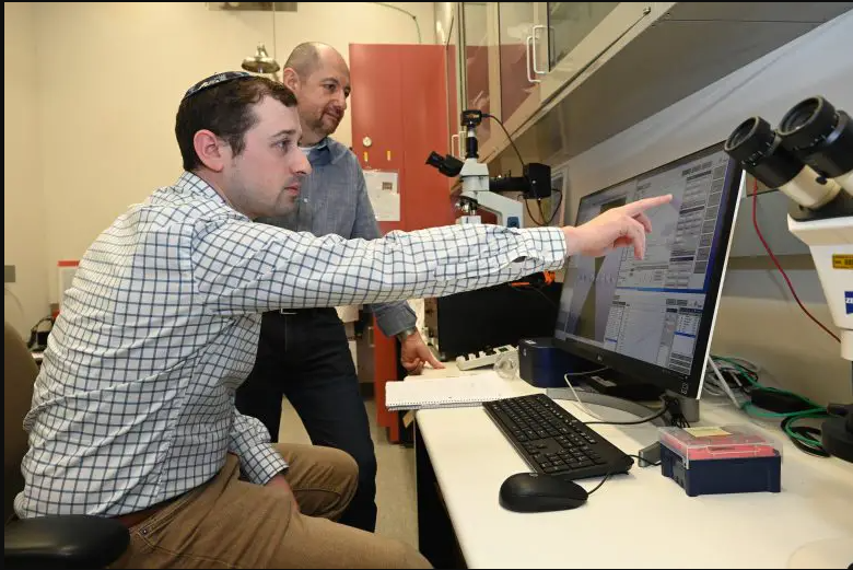 Researchers Create A Material That Is Amazingly Lightweight And 4 Times Stronger Than Steel Series 9 Steel Series