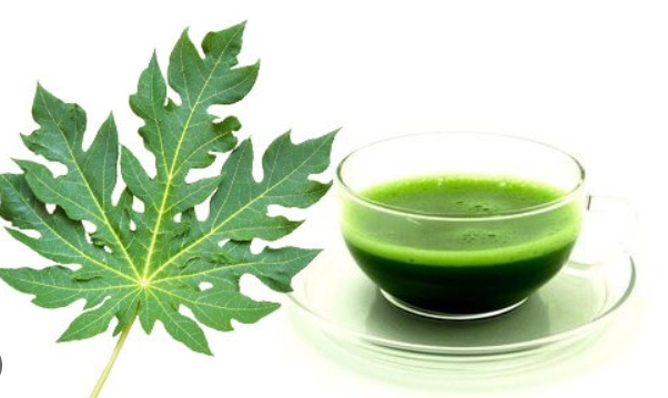 Papaya Leaves, Papaya Leaves Juice, benfits of Papaya Leaves