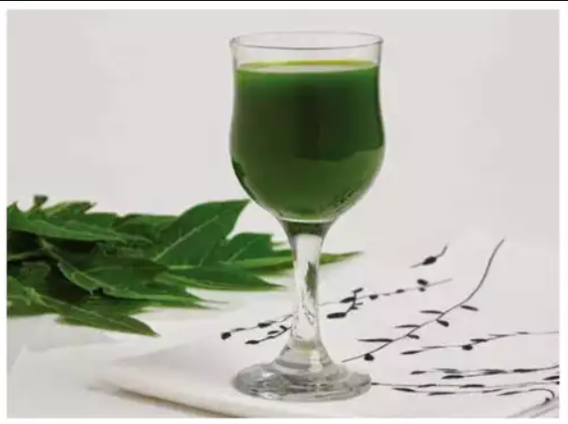 Papaya Leaves, Papaya Leaves Juice, benfits of Papaya Leaves