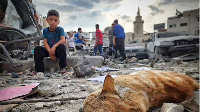  Gaza Hospital Bombing