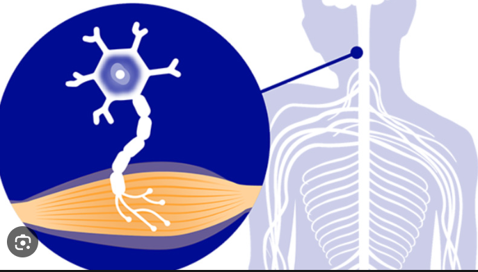 Amyotrophic Lateral Sclerosis