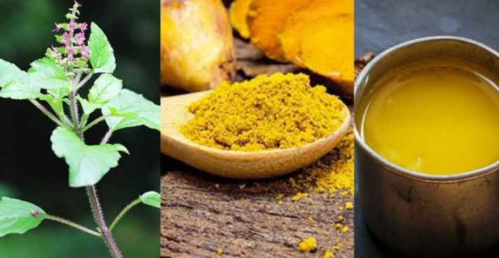 Ayurvedic Superfoods, Health Foods, Immune System, Turmeric