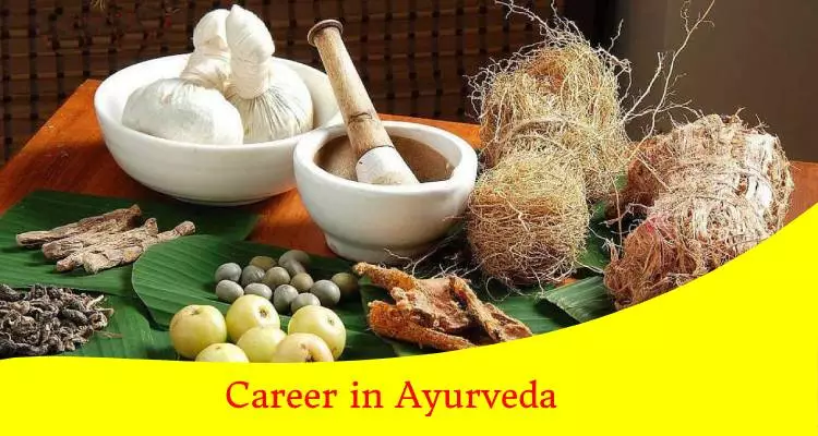 ayurveda, ayurveda experience, the ayurveda experience, Career in ayurveda,