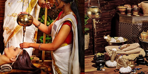 ayurveda,
ayurveda experience,
the ayurveda experience,
Career in ayurveda,