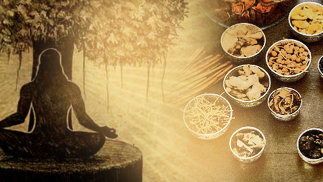 ayurveda,
ayurveda experience,
the ayurveda experience,
Career in ayurveda,