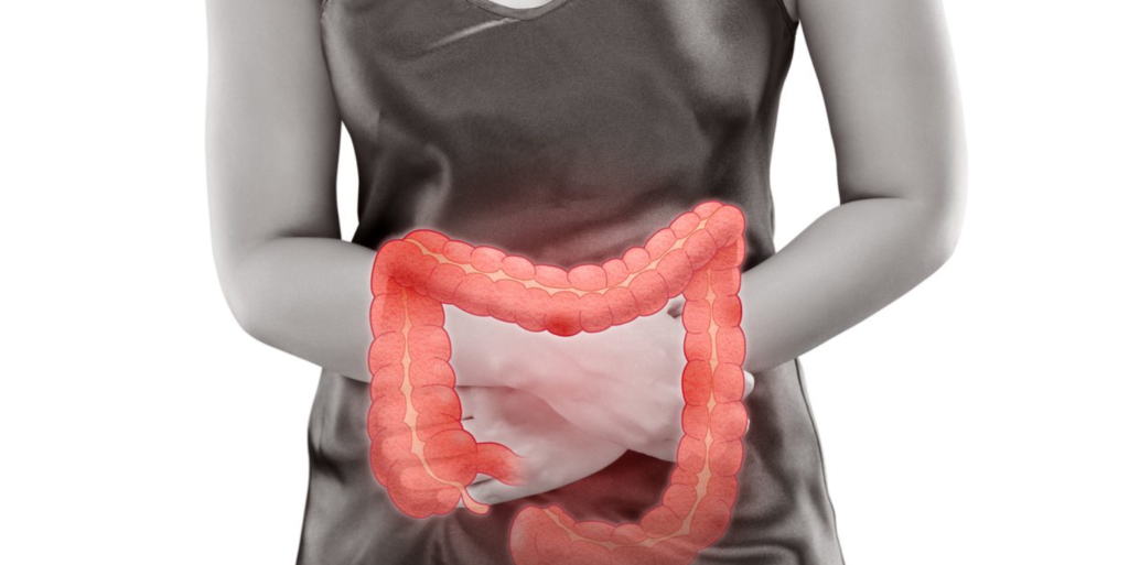 Intestine, Small Intestine, Large Intestine, Foods That Damage Your Intestine, Health, Lifestyle