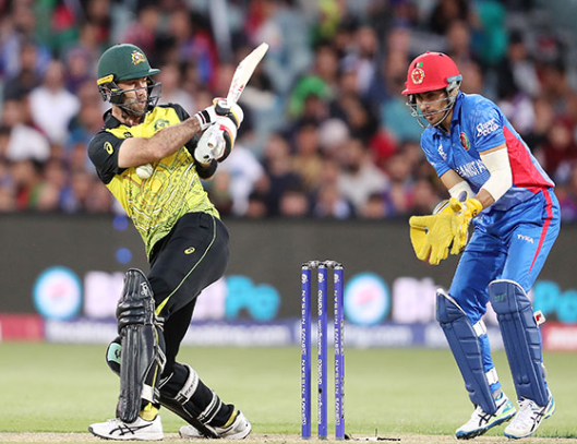 AUS vs AFG, ODI Cricket World Cup 2023