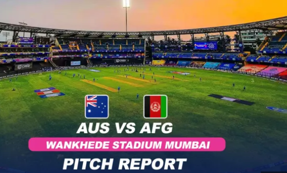 aus vs afg pitch report