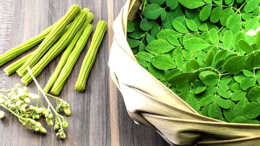 Moringa Leaves, Boiled Moringa Leaves, Health