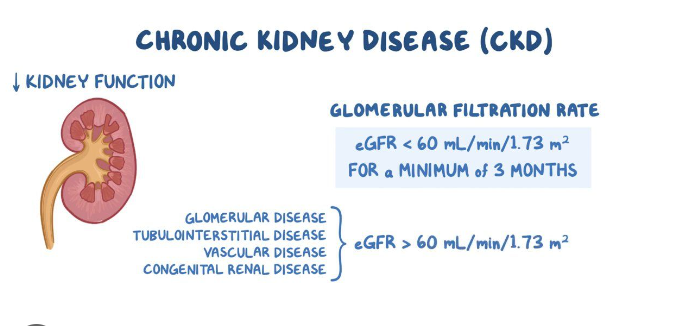 kidney disease