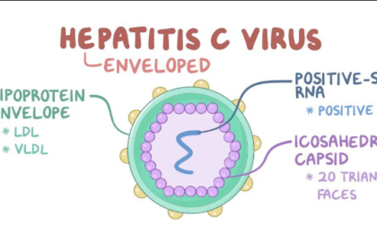 Hepatitis c