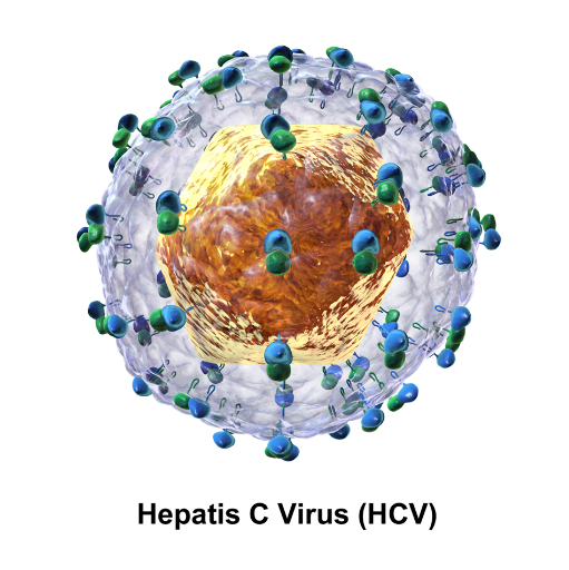 Hepatitis C