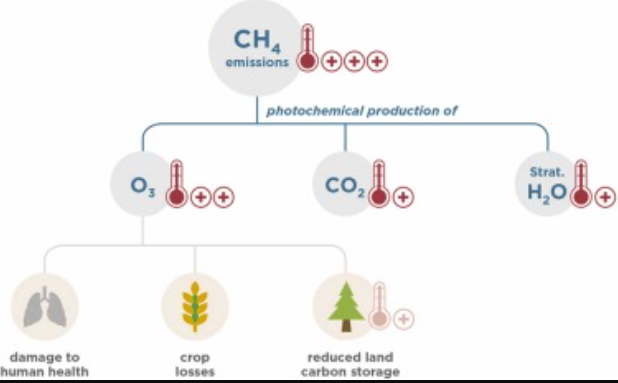 Methane Emission Rule