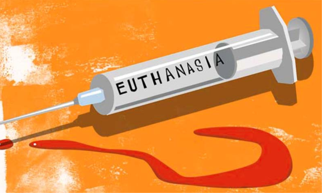 Passive And Active Euthanasia