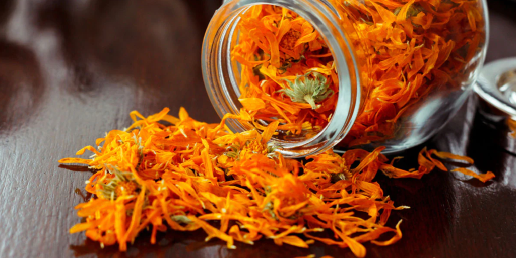 Health Benefits Of Marigolds, Marigolds