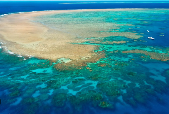 The Great Barrier Reef