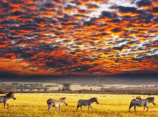 Serengeti National Park