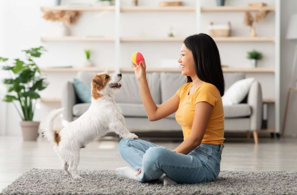 Nutrient-Rich Delights, Foods for Pets, health