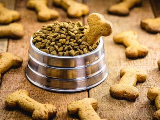 Nutrient-Rich Delights, Foods for Pets, health