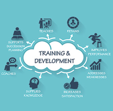 Employee Training and Development